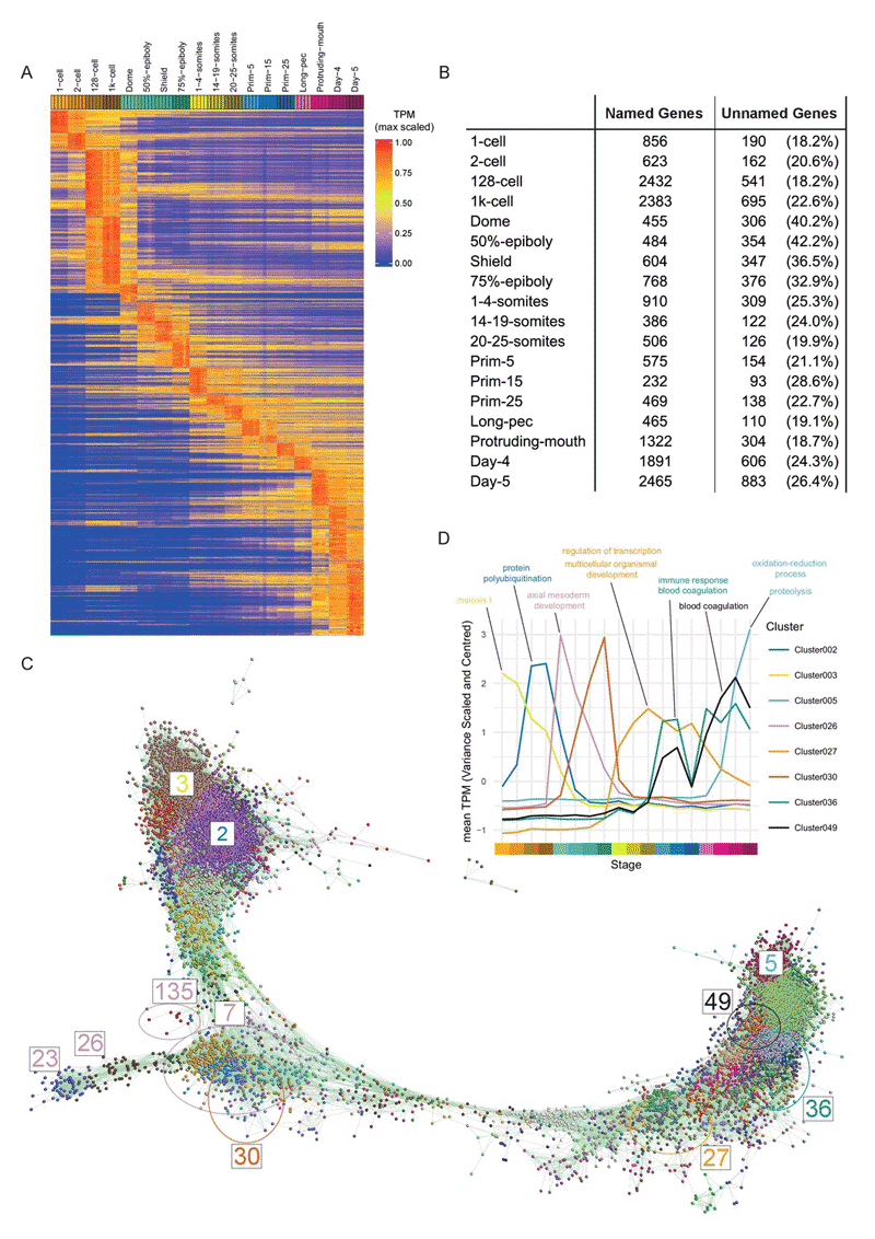 Large-scale visualisation of Gene Expression data using RNASeq data and BioLayout expression correllation.