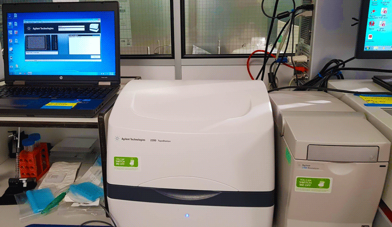 Tapestation and BioAnalyser