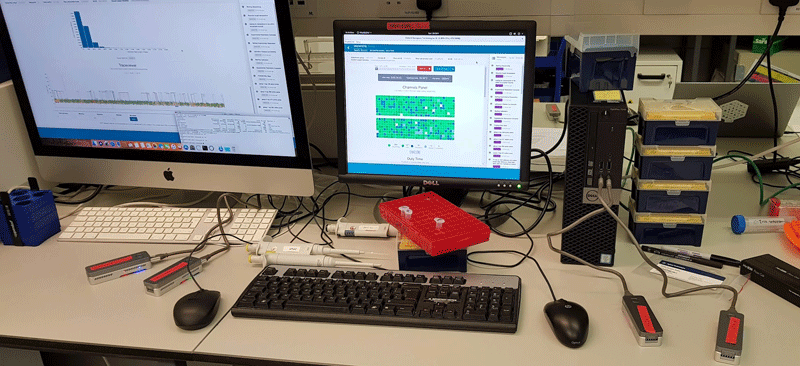4 flow-cells performing parallel sequencing of direct RNA molecules in the laboratory.