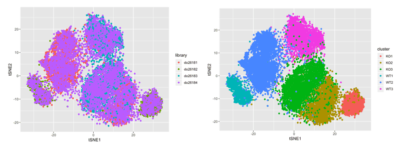 Single Cell Sequencing on the 10x Chromium Platform. (Jack Monahan)