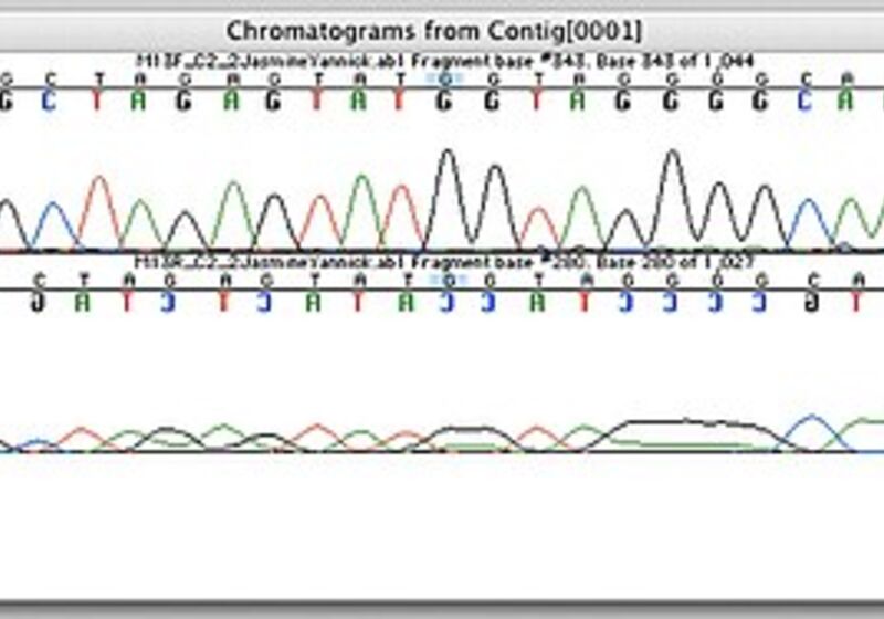 sanger sequencing 