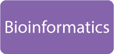 Bioinformatics Services