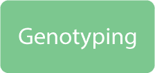 Genotyping Services