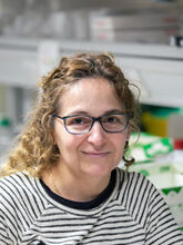 Marta Andrada