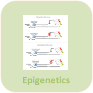 Epigenetic Icon-2017.png