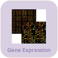 Gene Expression Icon-2017.png