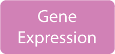 Gene Expression and Microarray Services